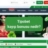 Tipobet kayıp bonusu nedir? Kuralları nelerdir?